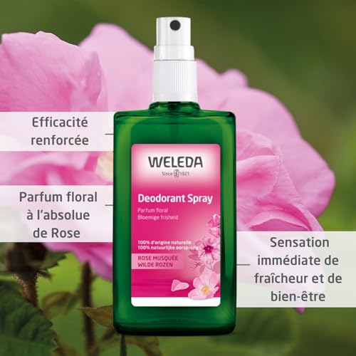weleda-d-odorant-spray-rose-musqu-e-100-ml-sans-sels-d-aluminium-vegan-natrue-pa image 8