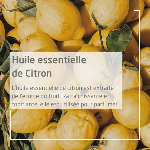 weleda-d-odorant-spray-citrus-100-ml-sans-sels-d-aluminium-100-origine-naturelle image 8