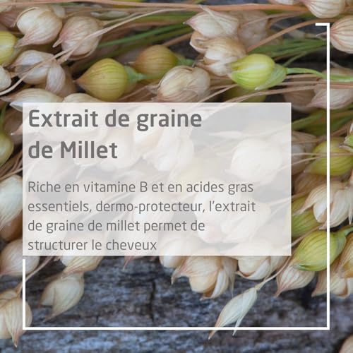 weleda-shampooing-extra-doux-millet-190-ml-shampooing-usage-fr-quent-bio-pour-ch image 8