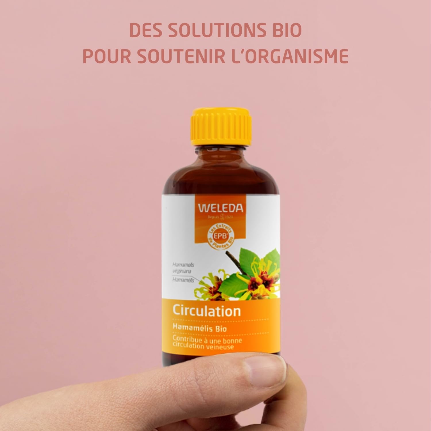 weleda-epb-hamam-lis-bio-100-ml-compl-ment-alimentaire-bio-ab-circulation-veineu image 2