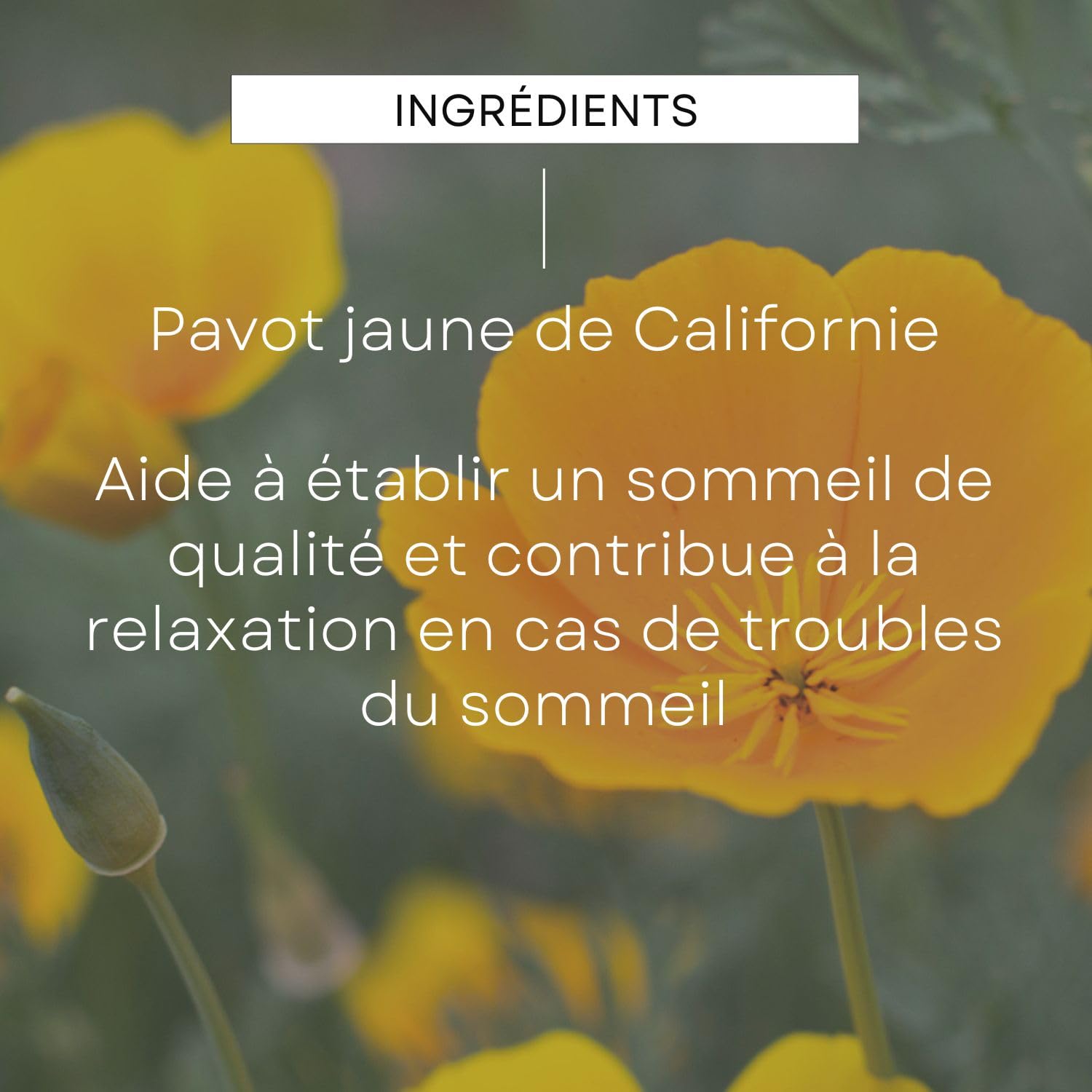 weleda-epb-pavot-jaune-de-californie-bio-sommeil-100-ml-compl-ment-alimentaire-r image 4