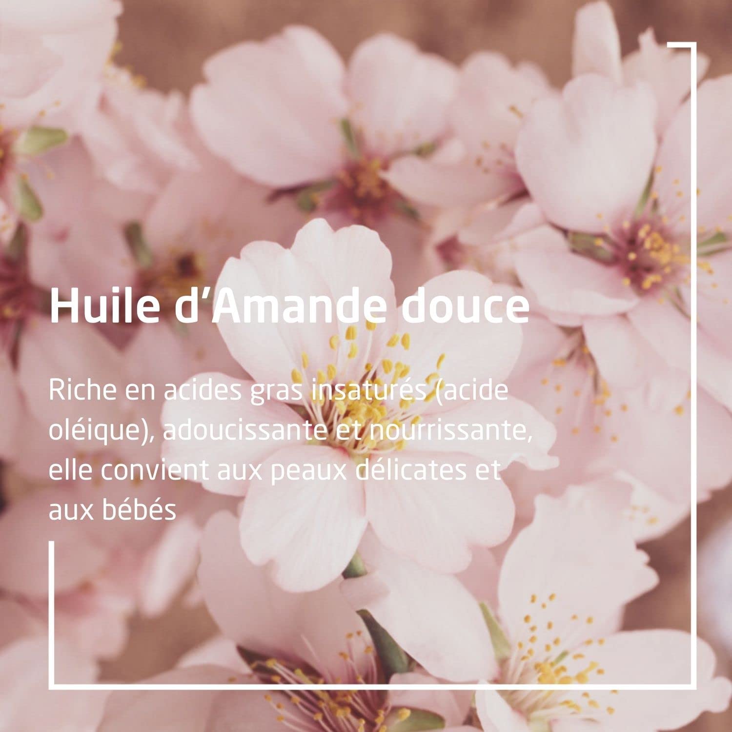 weleda-huile-visage-confort-l-amande-50-ml-soin-apaisant-et-d-maquillant-peaux-s image 3