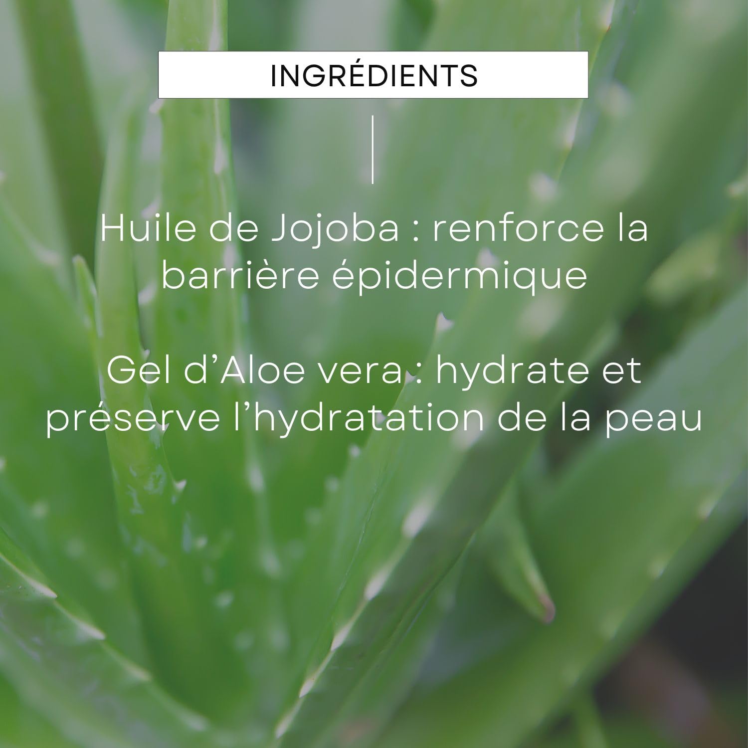 weleda-baume-apr-s-rasage-homme-100-ml-soin-apaisant-aloe-vera-bio-camomille-joj image 4