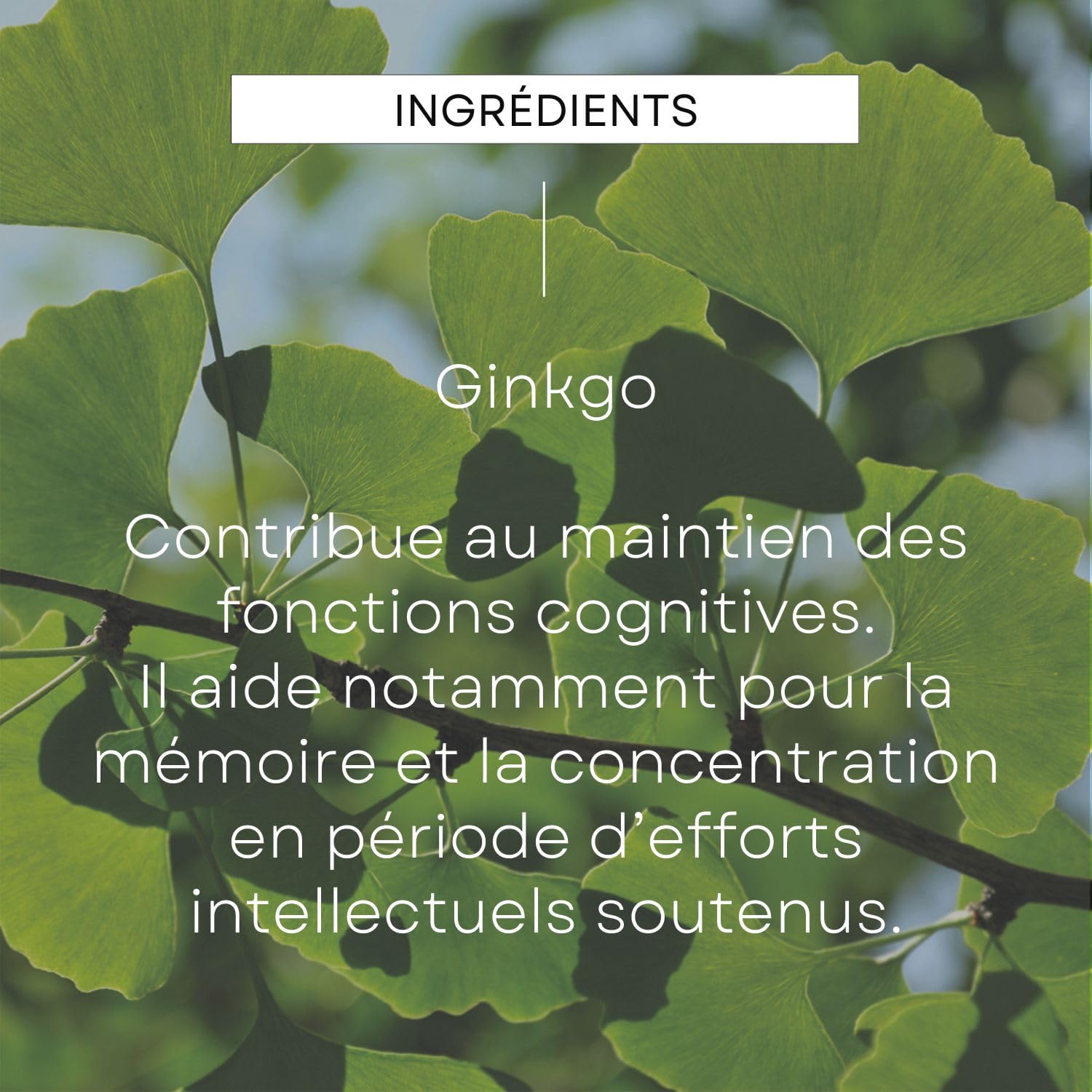weleda-epb-ginkgo-bio-100-ml-m-moire-et-concentration-compl-ment-alimentaire-veg image 4