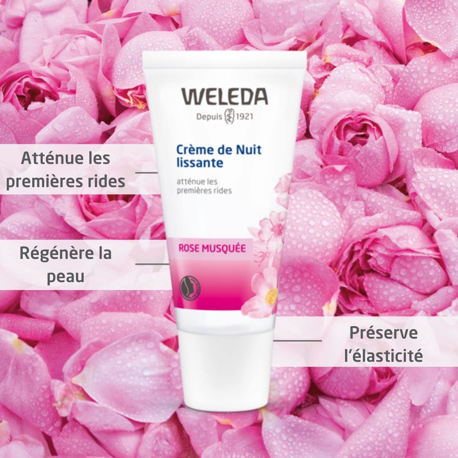 weleda-cr-me-de-nuit-lissante-la-rose-musqu-e-bio-30-ml-anti-ge-premi-res-rides- image 2