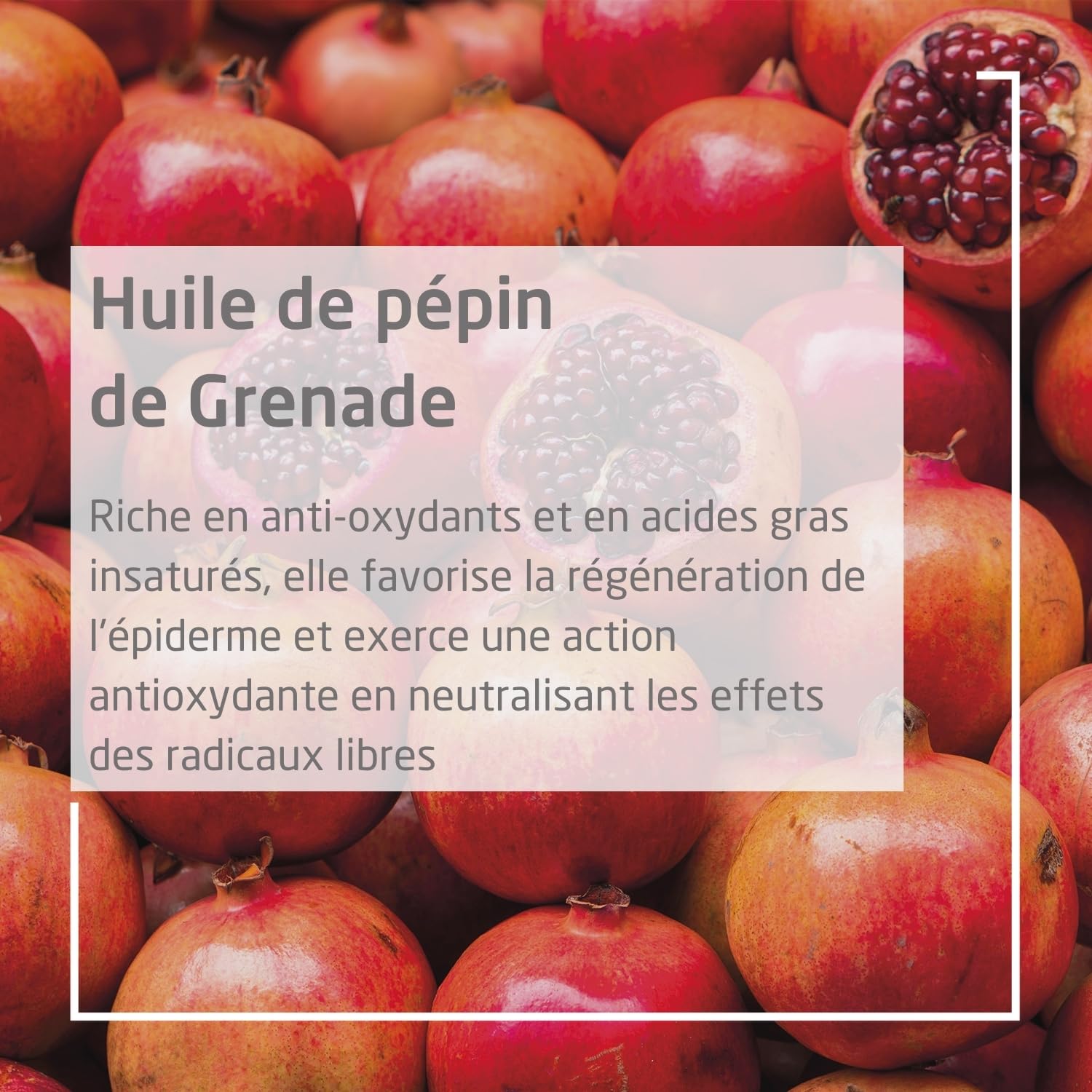 weleda-cr-me-mains-r-g-n-ratrice-grenade-50-ml-soin-antioxydant-anti-ge-peaux-no image 5