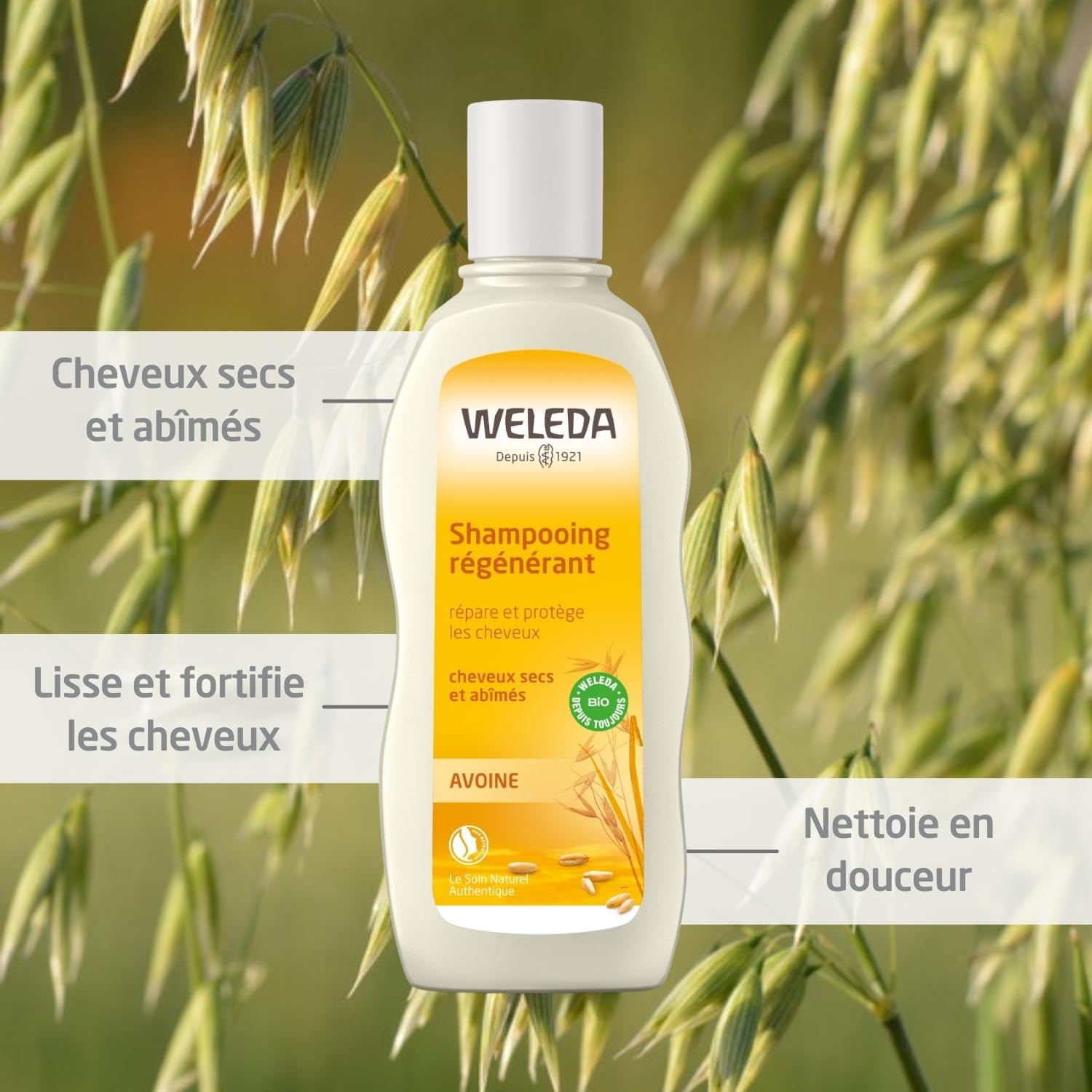 weleda-shampooing-r-g-n-rant-avoine-190-ml-r-pare-cheveux-secs-et-ab-m-s-sans-si image 2
