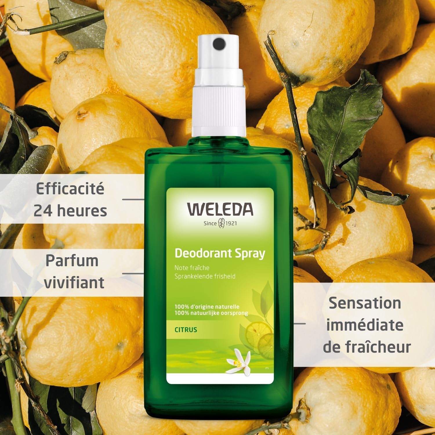 weleda-d-odorant-spray-citrus-100-ml-sans-sels-d-aluminium-100-origine-naturelle image 2