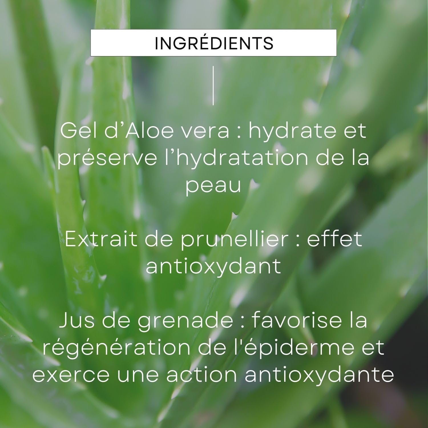 weleda-s-rum-multiaction-5-en-1-homme-30-ml-anti-rides-hydratation-24h-grenade-p image 5