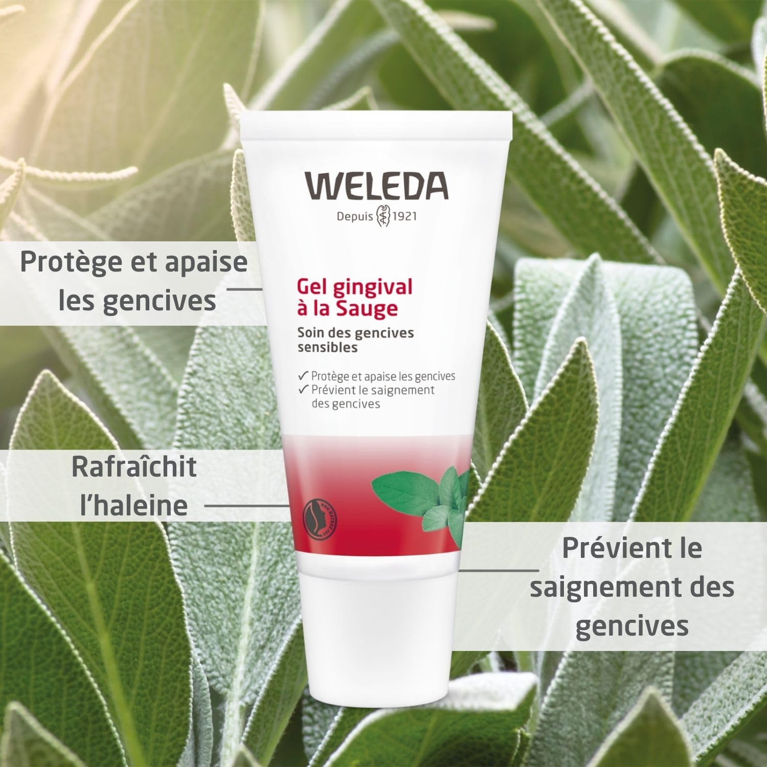 weleda-gel-gingival-la-sauge-30-ml-apaise-les-gencives-sensibles-renforce-les-ti image 2