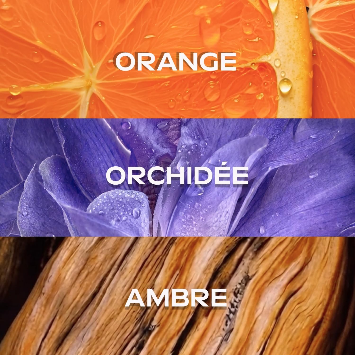 weleda-brume-parfum-e-corps-cheveux-mystic-aura-95-ml-orange-ambre-et-orchid-e-1 image 5
