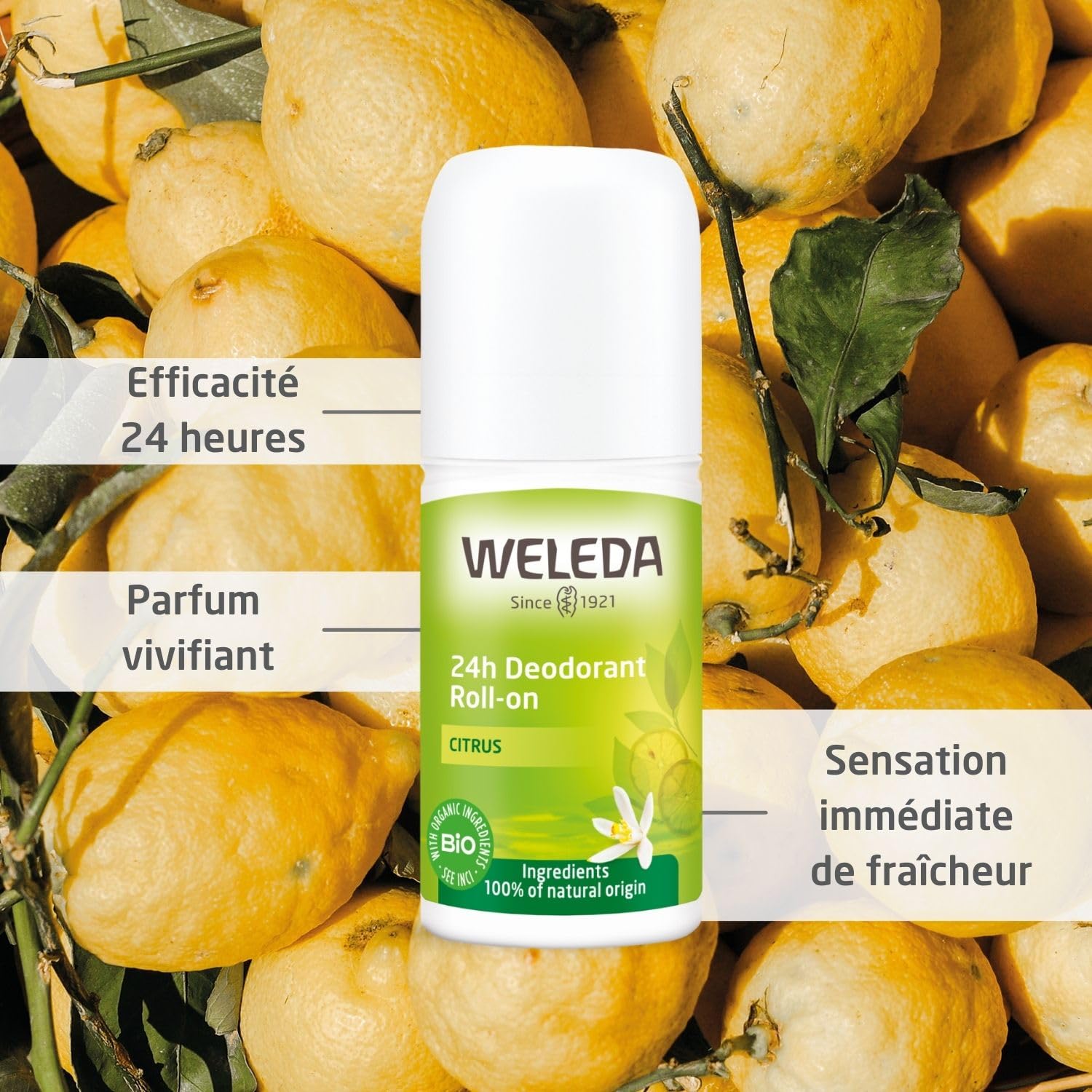 weleda-d-odorant-roll-on-citrus-50-ml-protection-24h-sans-sels-d-aluminium-formu image 2