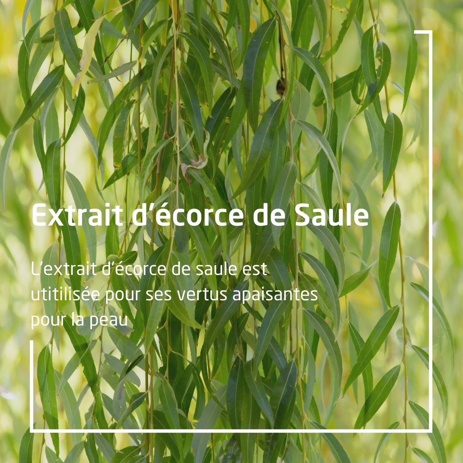 weleda-soin-anti-imperfections-saule-10-ml-cr-me-visage-cibl-e-boutons-et-points image 3