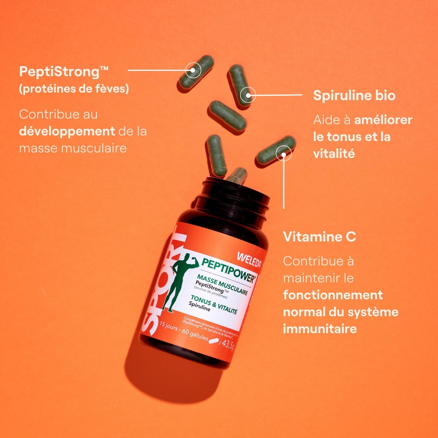 weleda-peptipower-compl-ment-alimentaire-force-tonus-60-g-lules-vegan-prot-ines- image 2