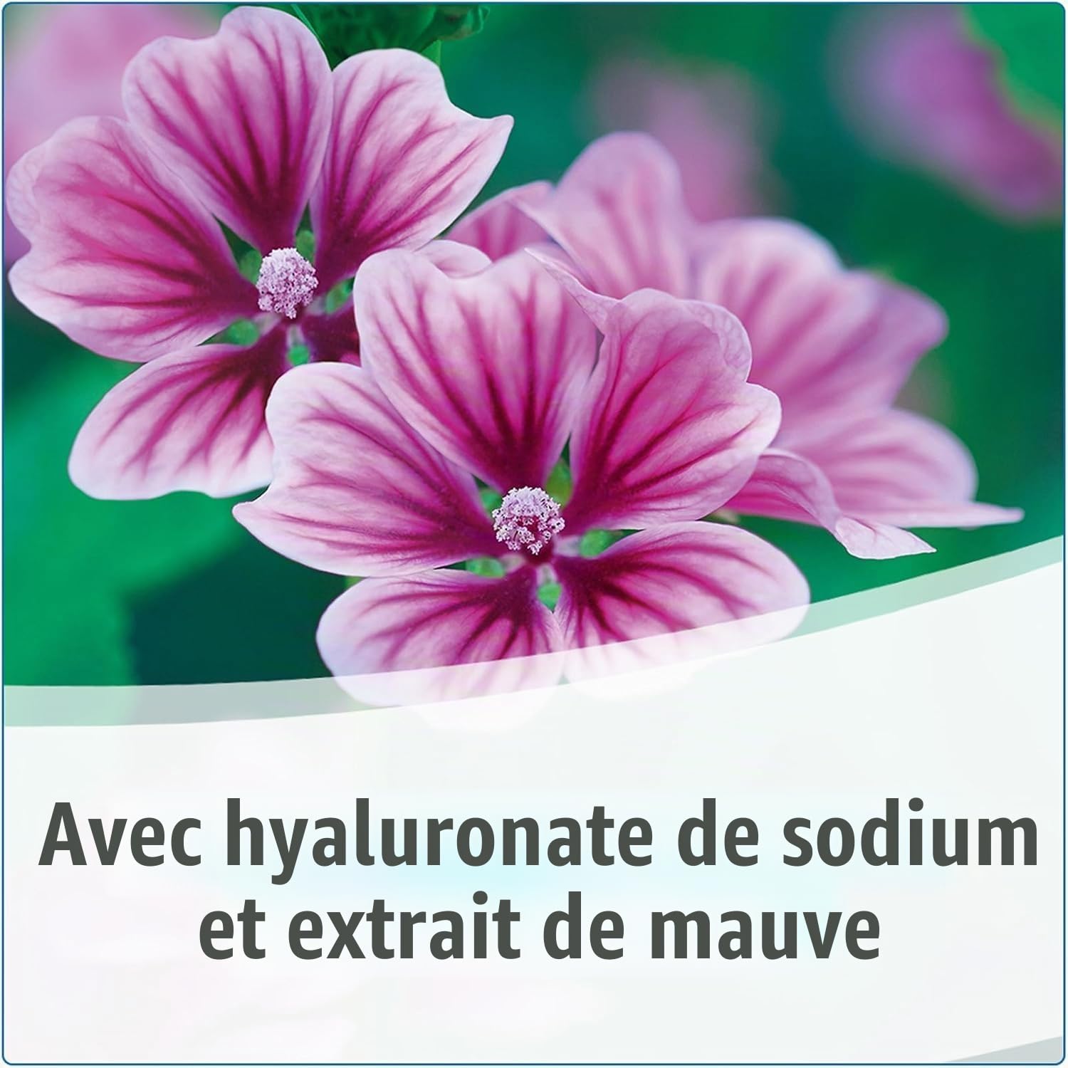 weleda-visiodoron-malva-solution-ophtalmique-en-unidose-20-0-4-ml-acide-hyaluron image 4