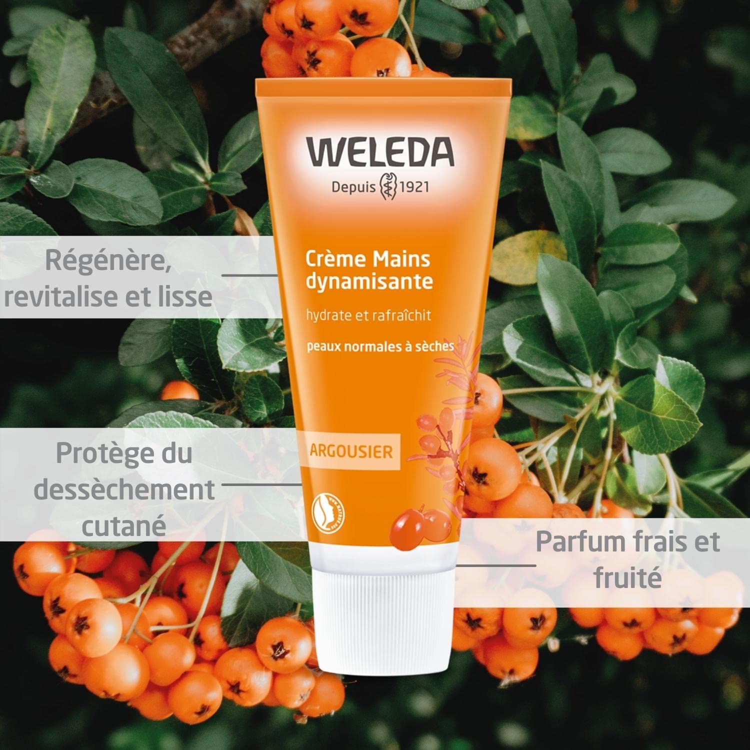 weleda-cr-me-mains-dynamisante-argousier-50-ml-cr-me-mains-hydratante-bio-pour-p image 2