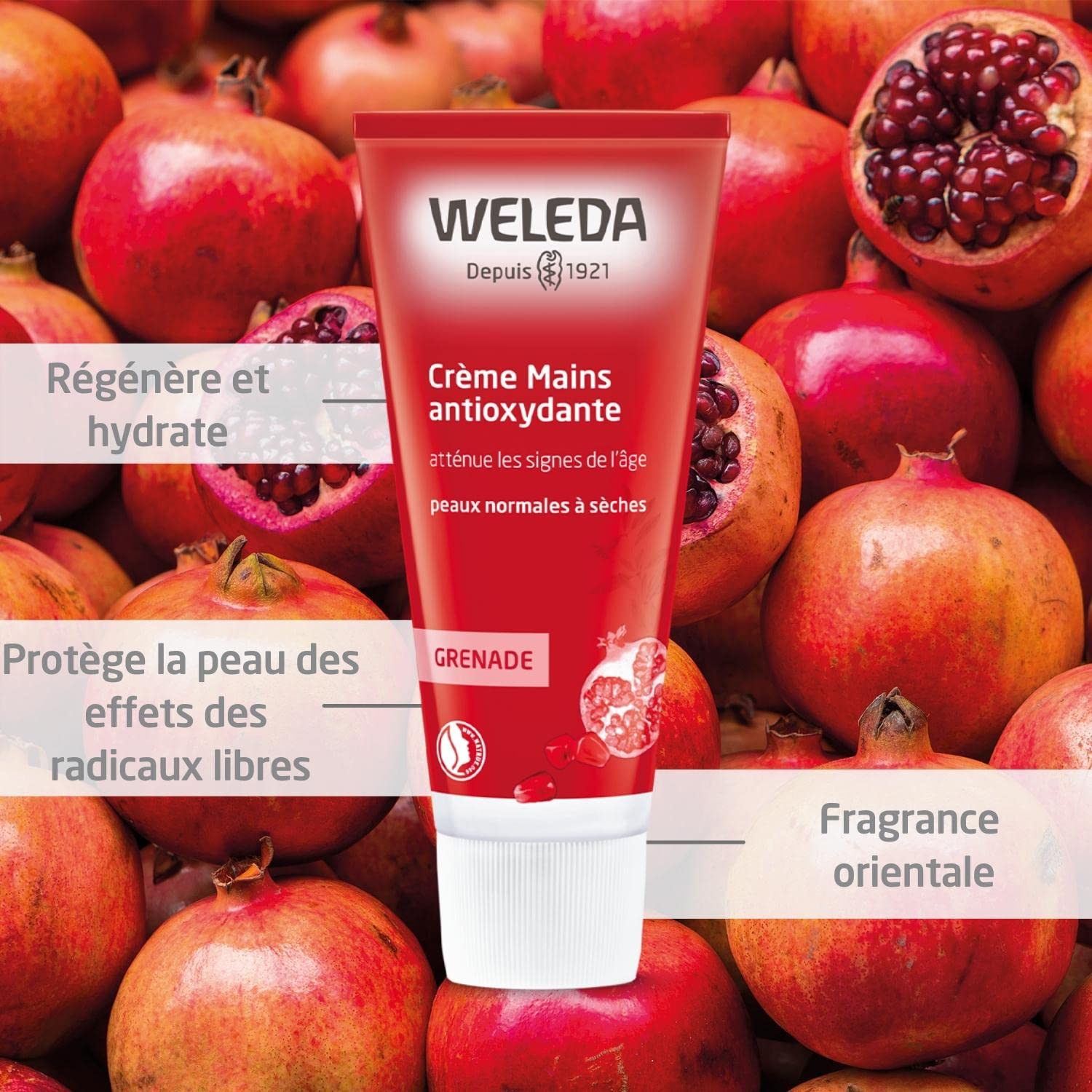 weleda-cr-me-mains-r-g-n-ratrice-grenade-50-ml-soin-antioxydant-anti-ge-peaux-no image 2