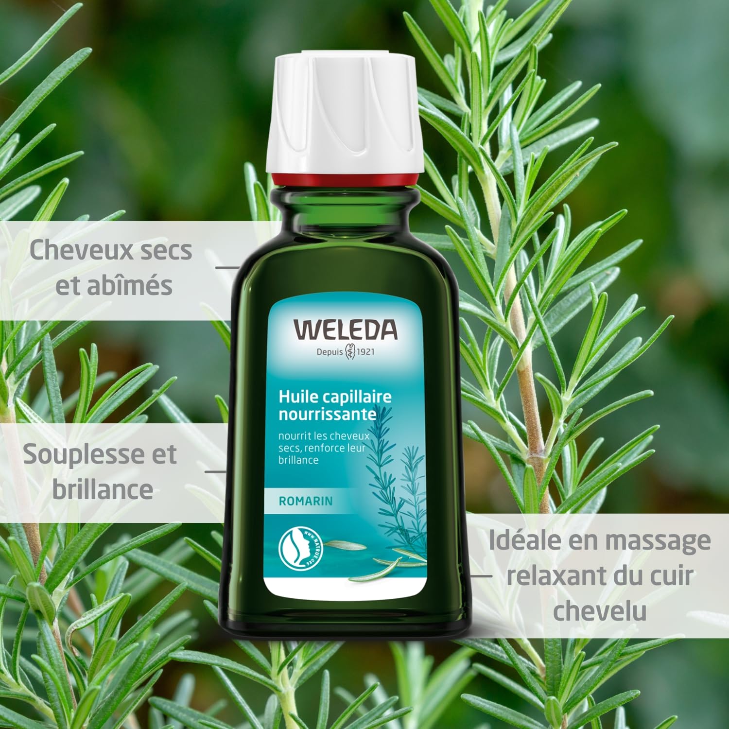 weleda-huile-capillaire-nourrissante-au-romarin-50-ml-soin-intensif-cheveux-secs image 2