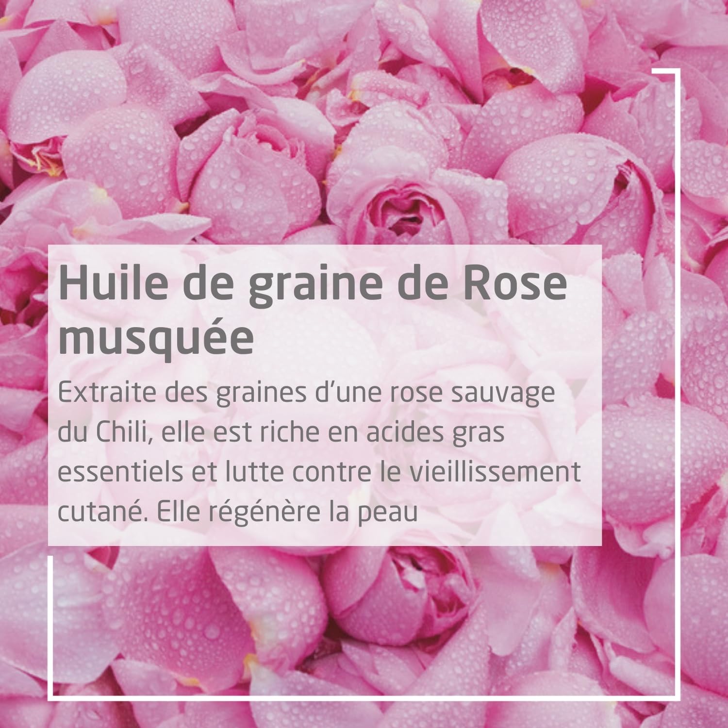weleda-d-odorant-spray-rose-musqu-e-100-ml-sans-sels-d-aluminium-vegan-natrue-pa image 3