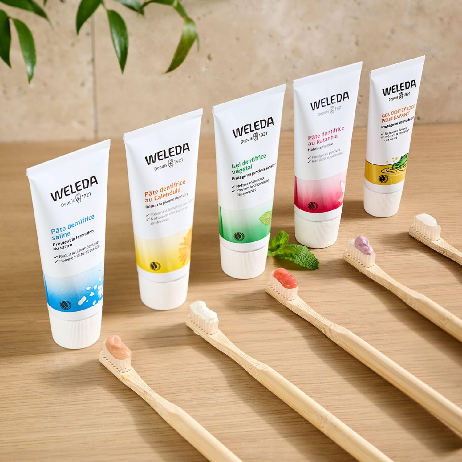 weleda-gel-gingival-la-sauge-30-ml-apaise-les-gencives-sensibles-renforce-les-ti image 3