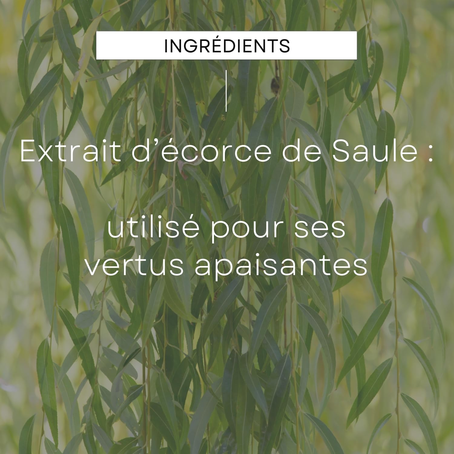 weleda-fluide-hydratant-matifiant-saule-30-ml-soin-visage-matifiant-anti-imperfe image 5