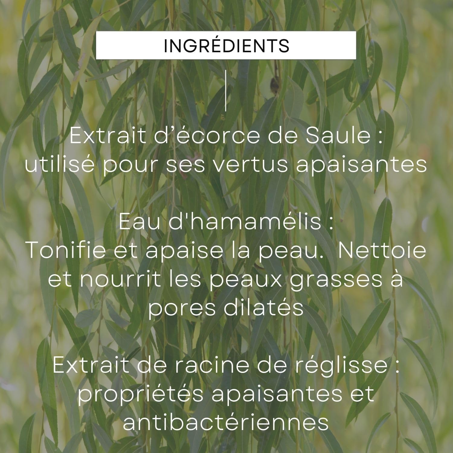 weleda-gel-nettoyant-visage-2-en-1-homme-visage-barbe-100-ml-anti-imperfections- image 5