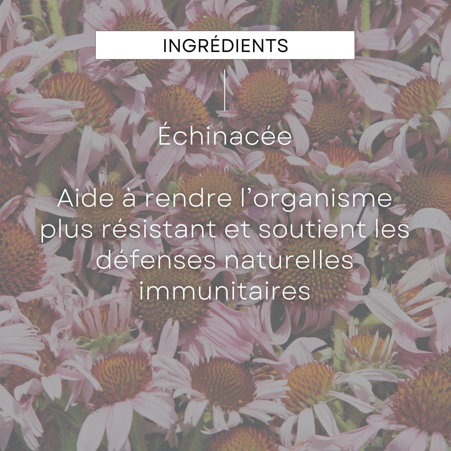 weleda-epb-echinac-e-bio-immunit-100-ml-compl-ment-alimentaire-d-fenses-immunita image 4