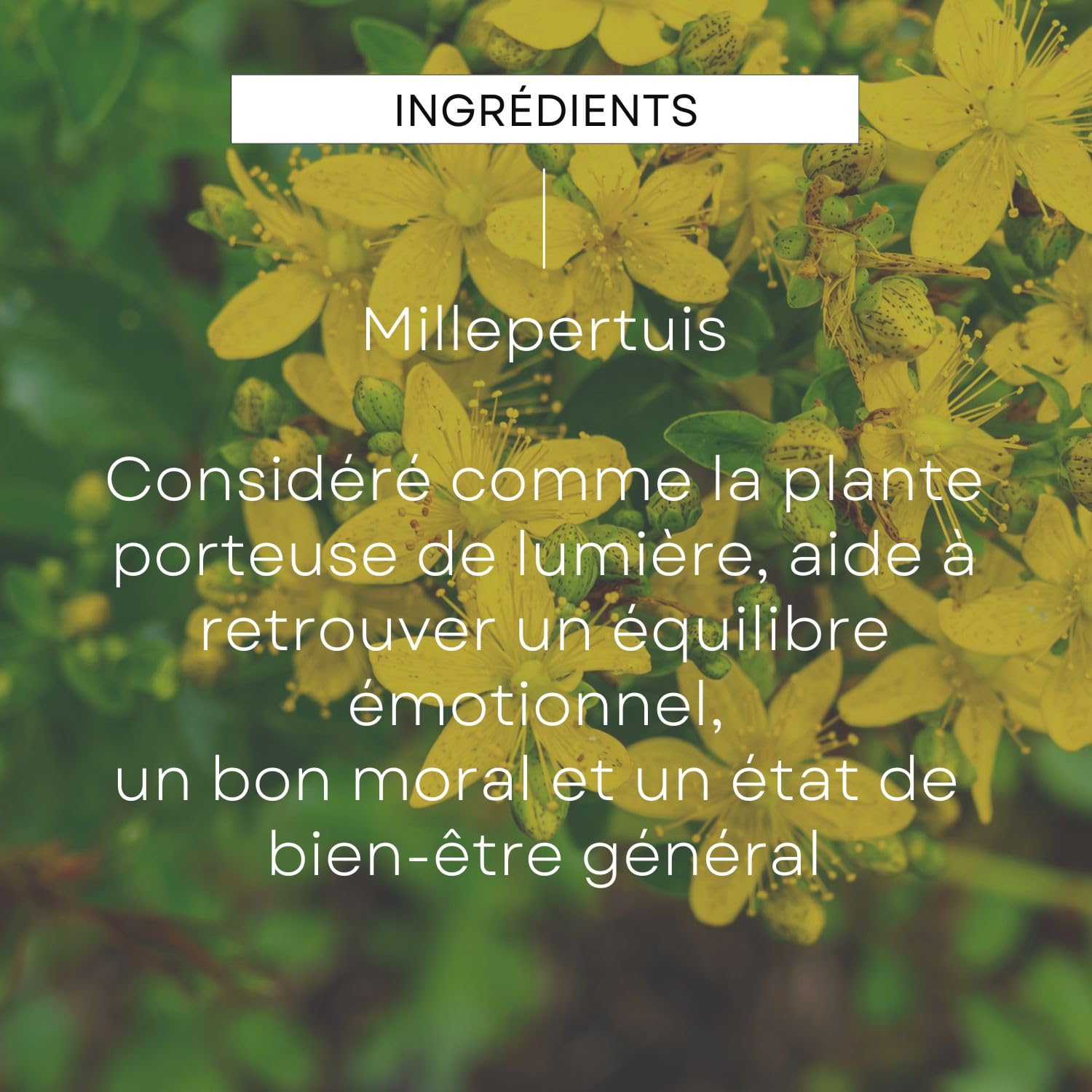 weleda-epb-millepertuis-bio-moral-100-ml-compl-ment-alimentaire-quilibre-motionn image 4