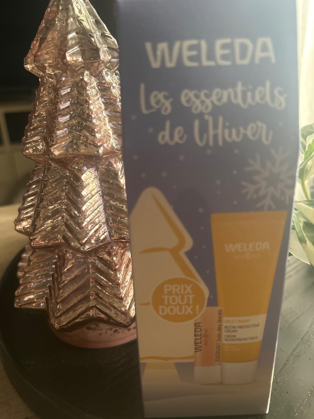 Rapport qualité-prix imbattable