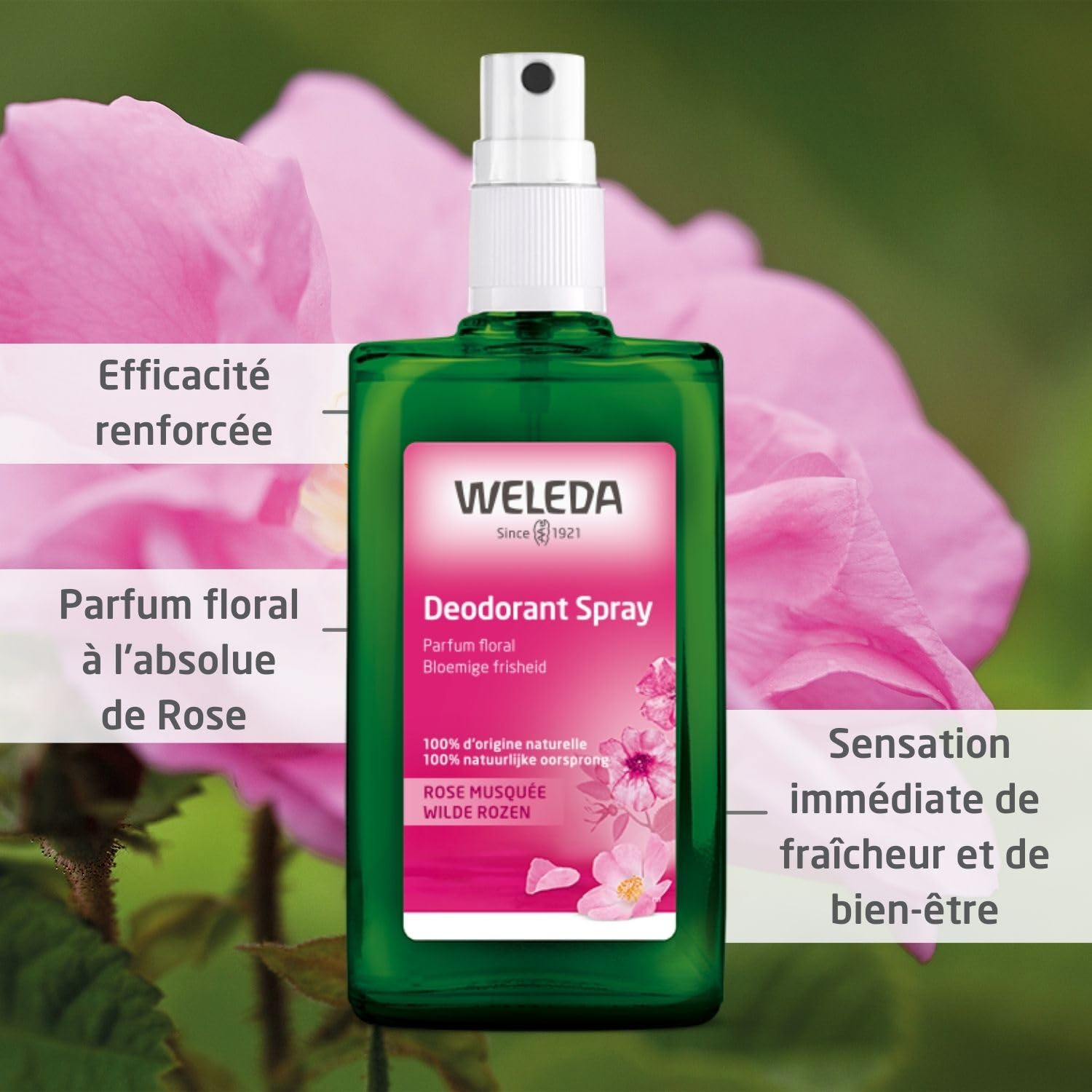 weleda-d-odorant-spray-rose-musqu-e-100-ml-sans-sels-d-aluminium-vegan-natrue-pa image 2