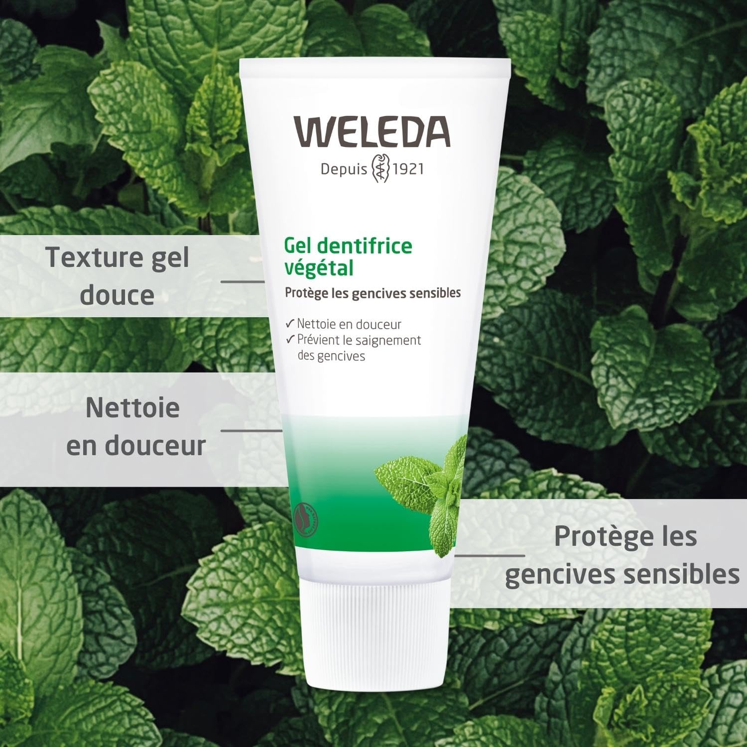 weleda-gel-dentifrice-v-g-tal-gencives-sensibles-75-ml-sans-fluor-myrrhe-camomil image 2