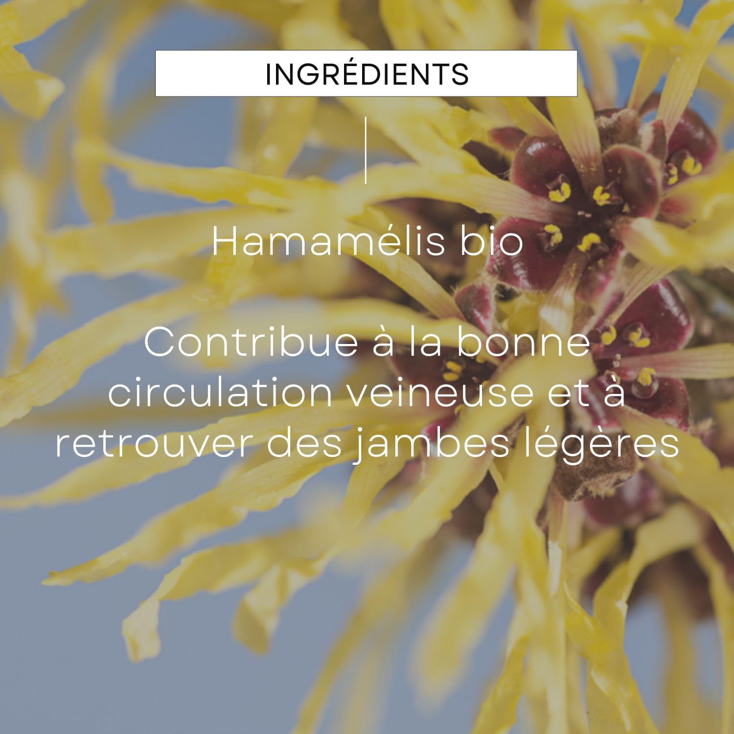weleda-epb-hamam-lis-bio-100-ml-compl-ment-alimentaire-bio-ab-circulation-veineu image 4