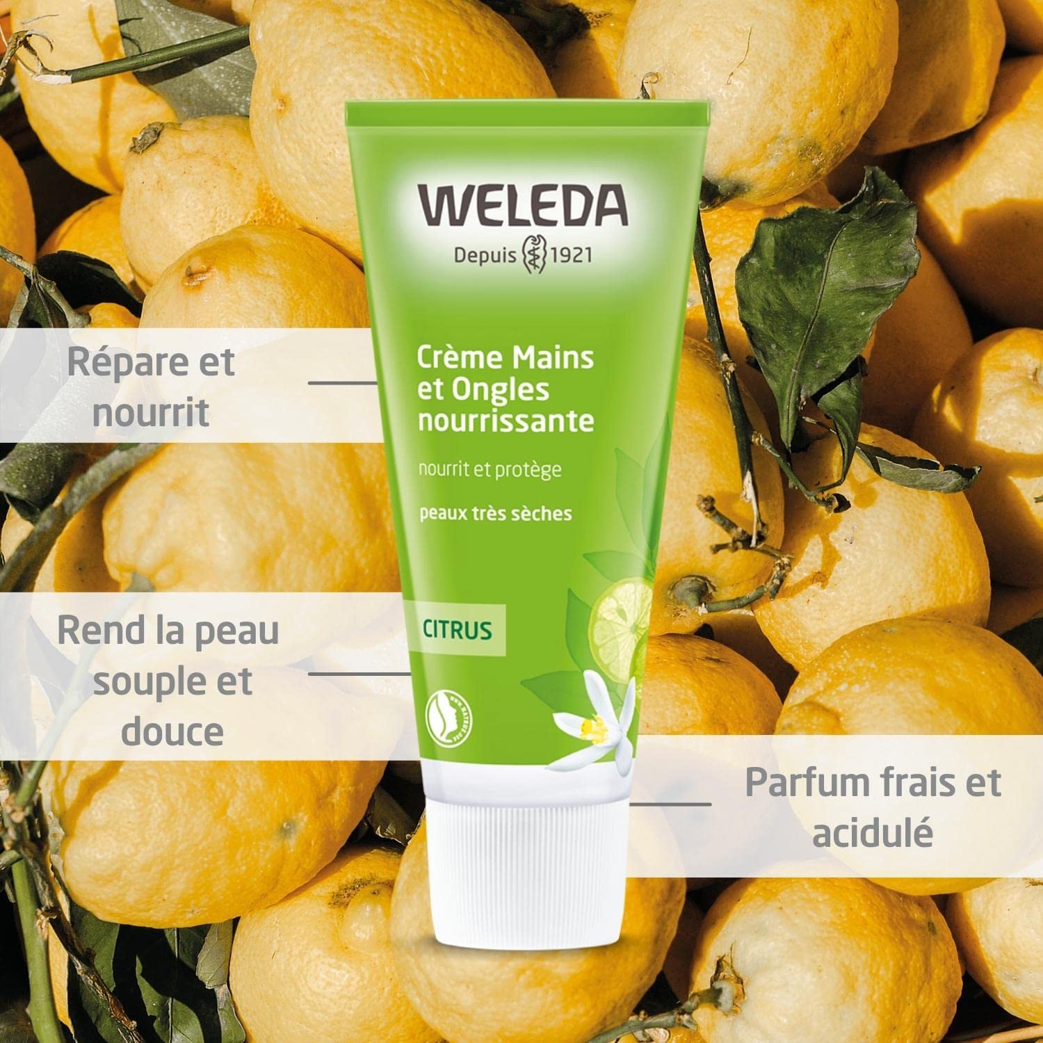 weleda-cr-me-mains-et-ongles-nourrissante-citrus-50-ml-r-paration-mains-s-ches-n image 2