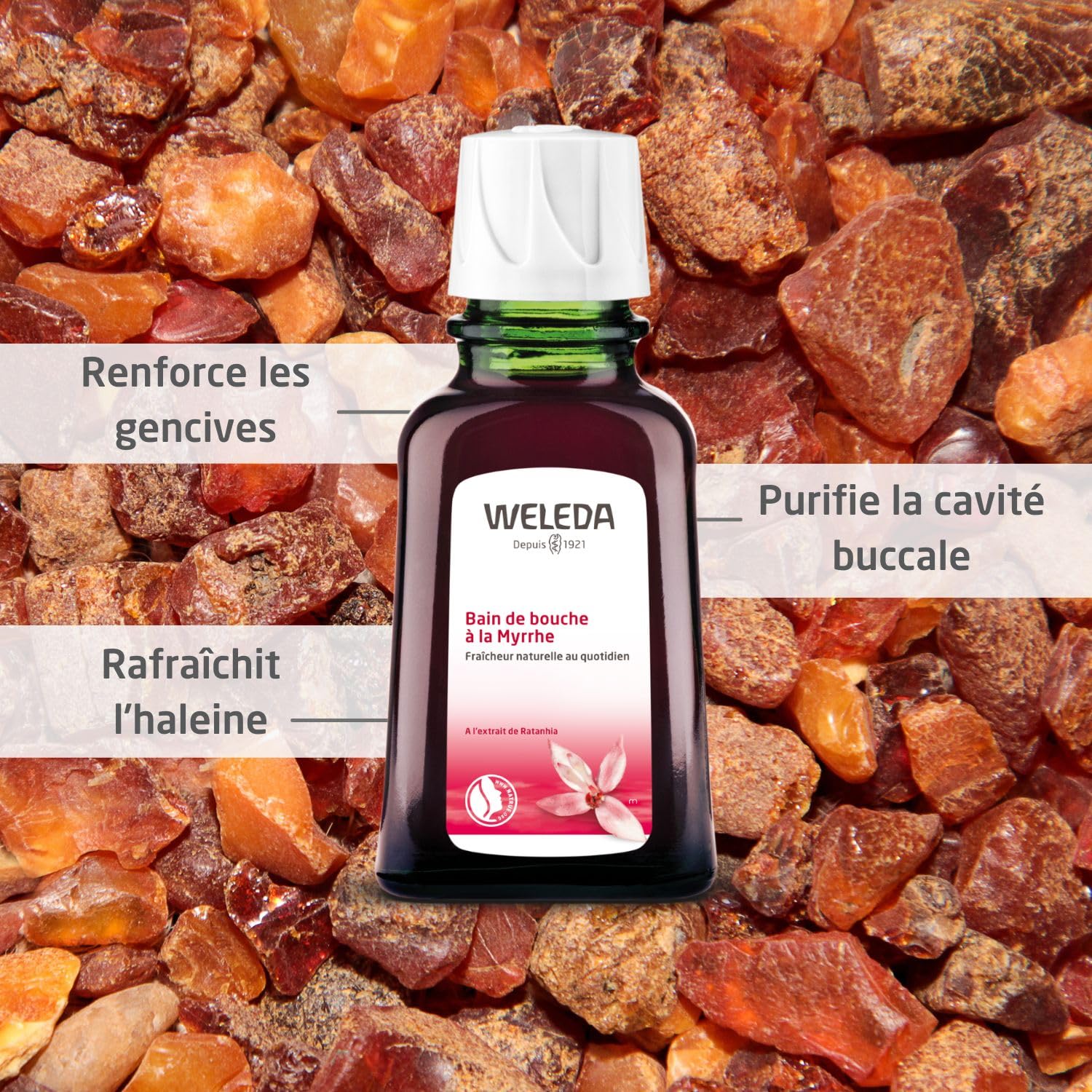 weleda-bain-de-bouche-la-myrrhe-50-ml-concentr-diluer-haleine-fra-che-et-gencive image 2