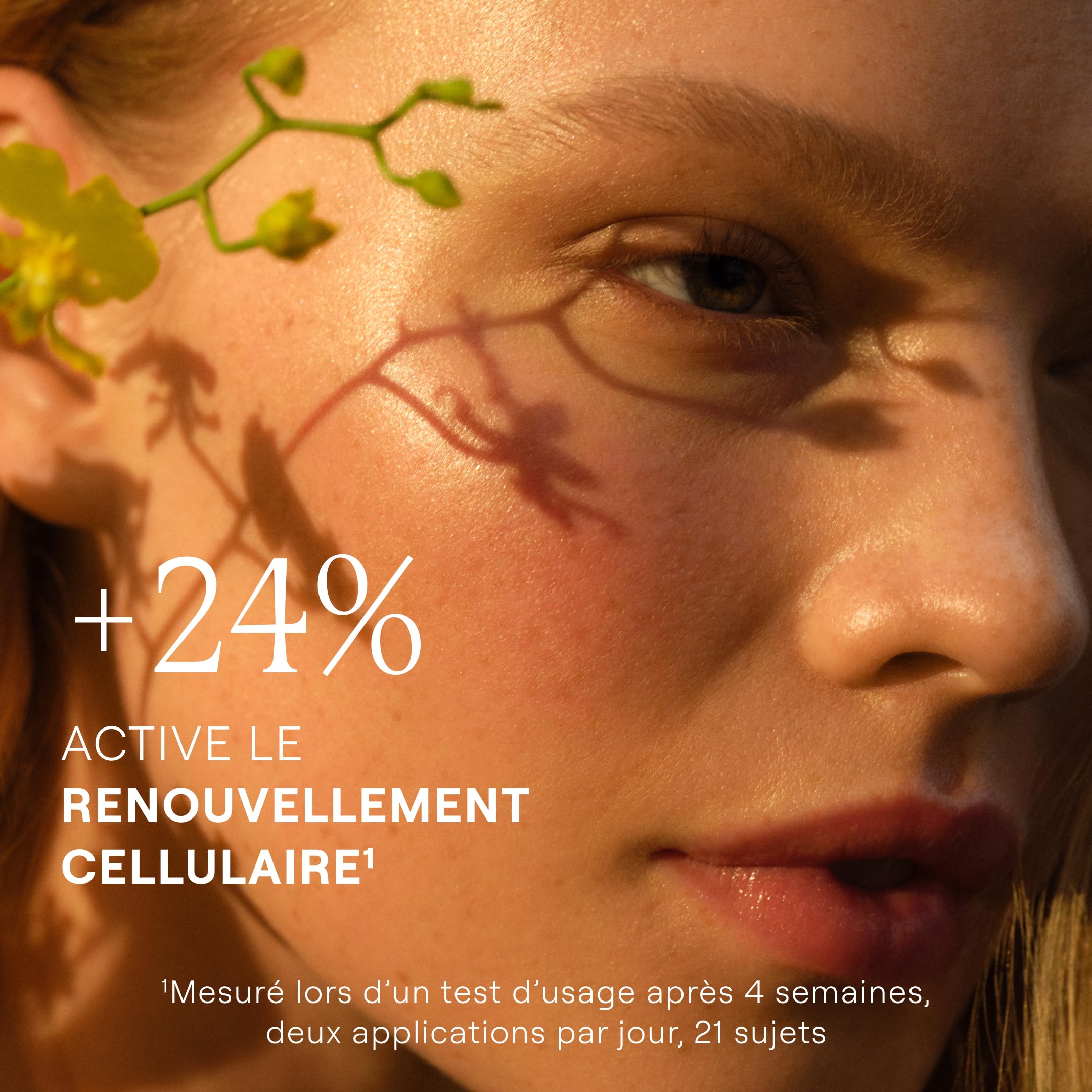 weleda-skin-food-cr-me-de-nuit-nourrissante-40-ml-peaux-s-ches-r-g-n-ration-24-r image 2