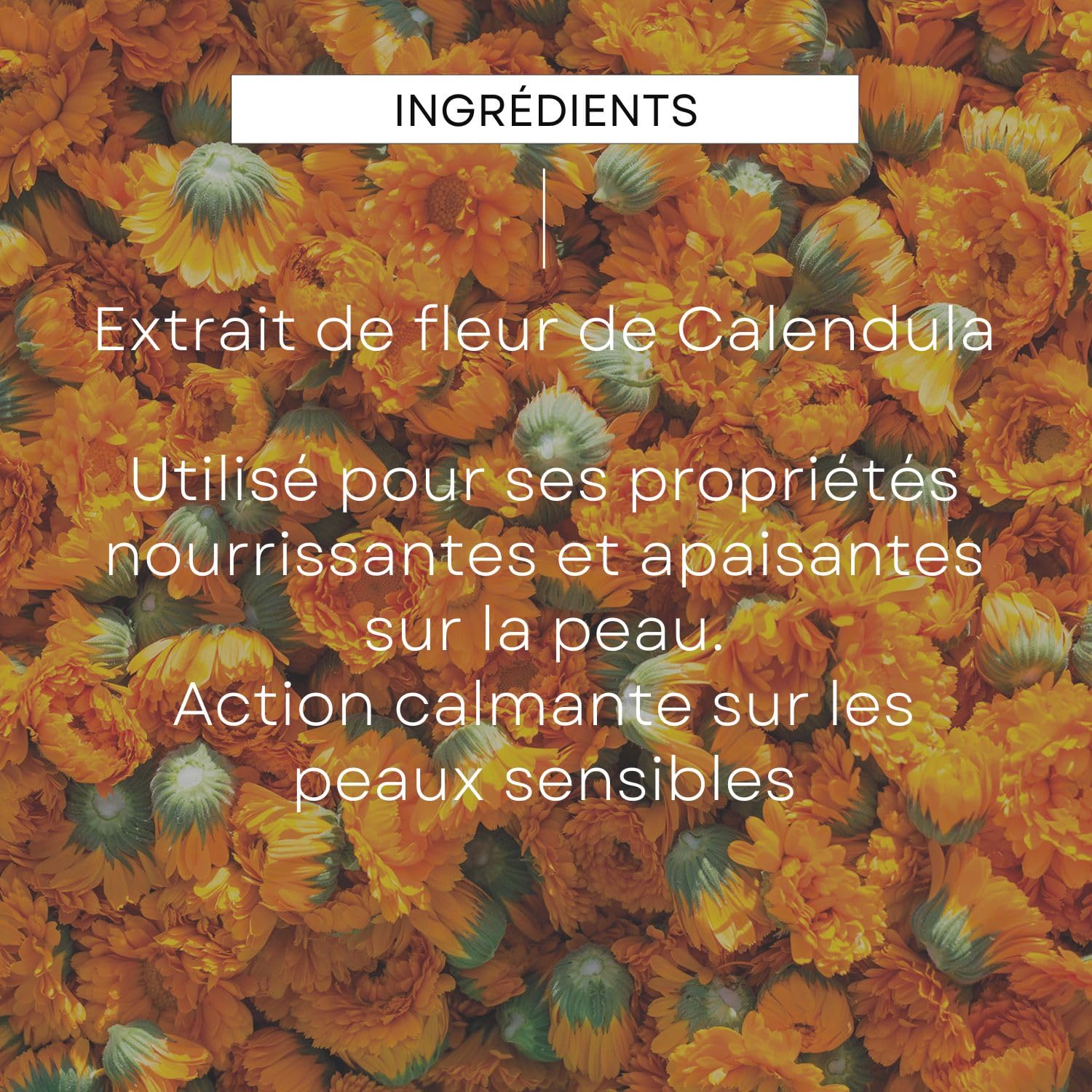 weleda-coffret-naissance-calendula-4-soins-b-b-cape-de-bain-coton-bio-70x70-cm-c image 5