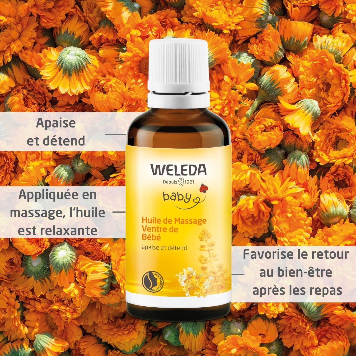 weleda-huile-de-massage-ventre-b-b-50-ml-apaise-la-digestion-d-s-la-naissance-ve image 2
