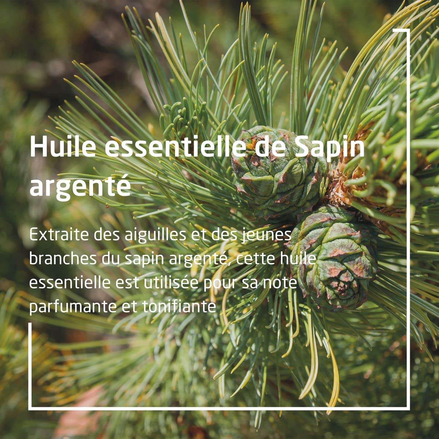 weleda-bain-revitalisant-au-sapin-200-ml-bain-moussant-multiusages-l-huile-essen image 4