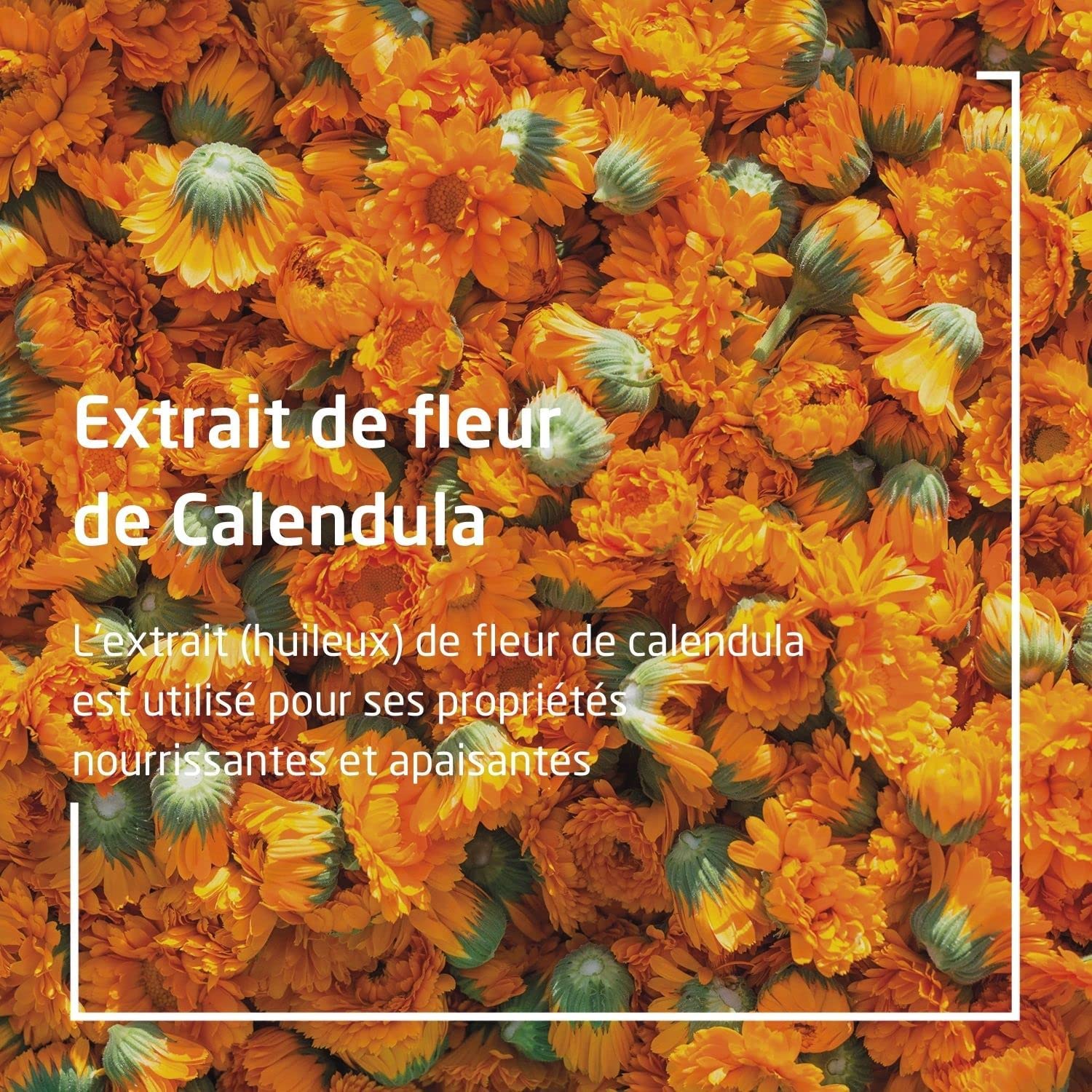 weleda-lait-corporel-calendula-200-ml-lait-corps-hydratant-b-b-et-enfant-d-s-la- image 3