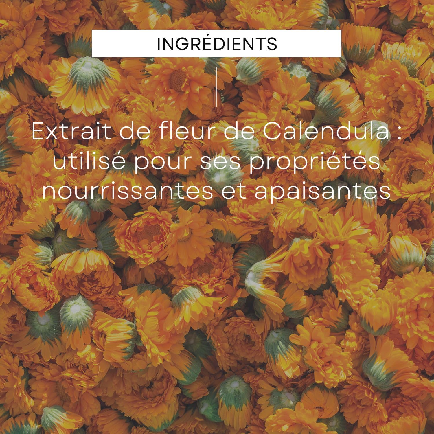 weleda-cr-me-hydratante-visage-calendula-50-ml-cr-me-protectrice-visage-b-b-et-e image 5