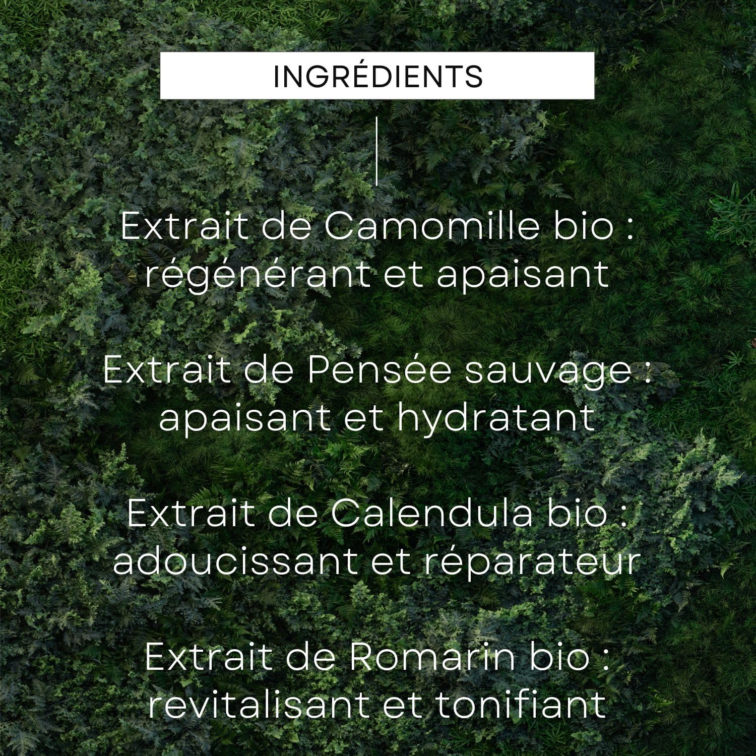 weleda-coffret-skin-food-no-l-2024-gel-en-huile-nettoyant-75-ml-cr-me-de-jour-no image 6