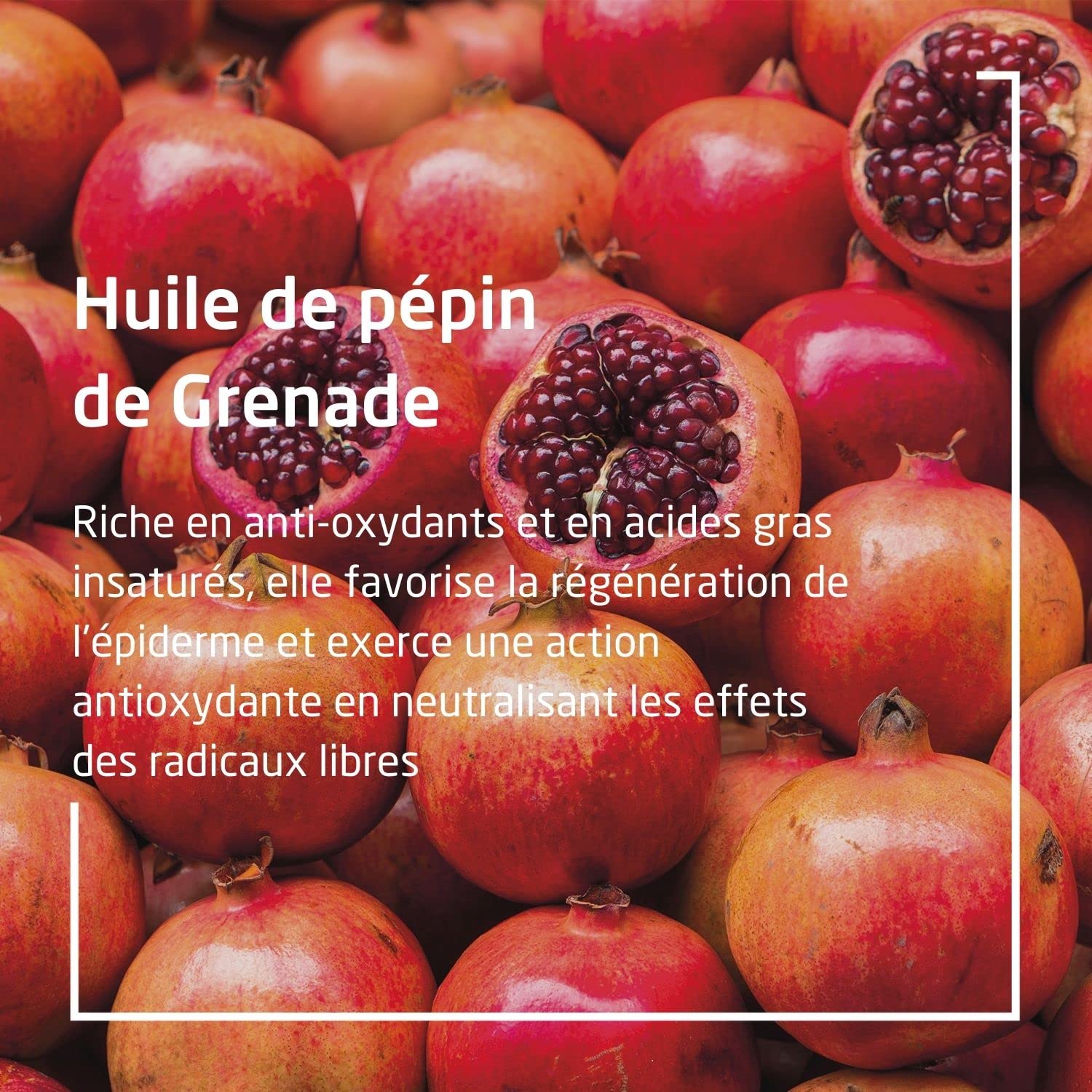 weleda-cr-me-mains-r-g-n-ratrice-grenade-50-ml-soin-antioxydant-anti-ge-peaux-no image 3