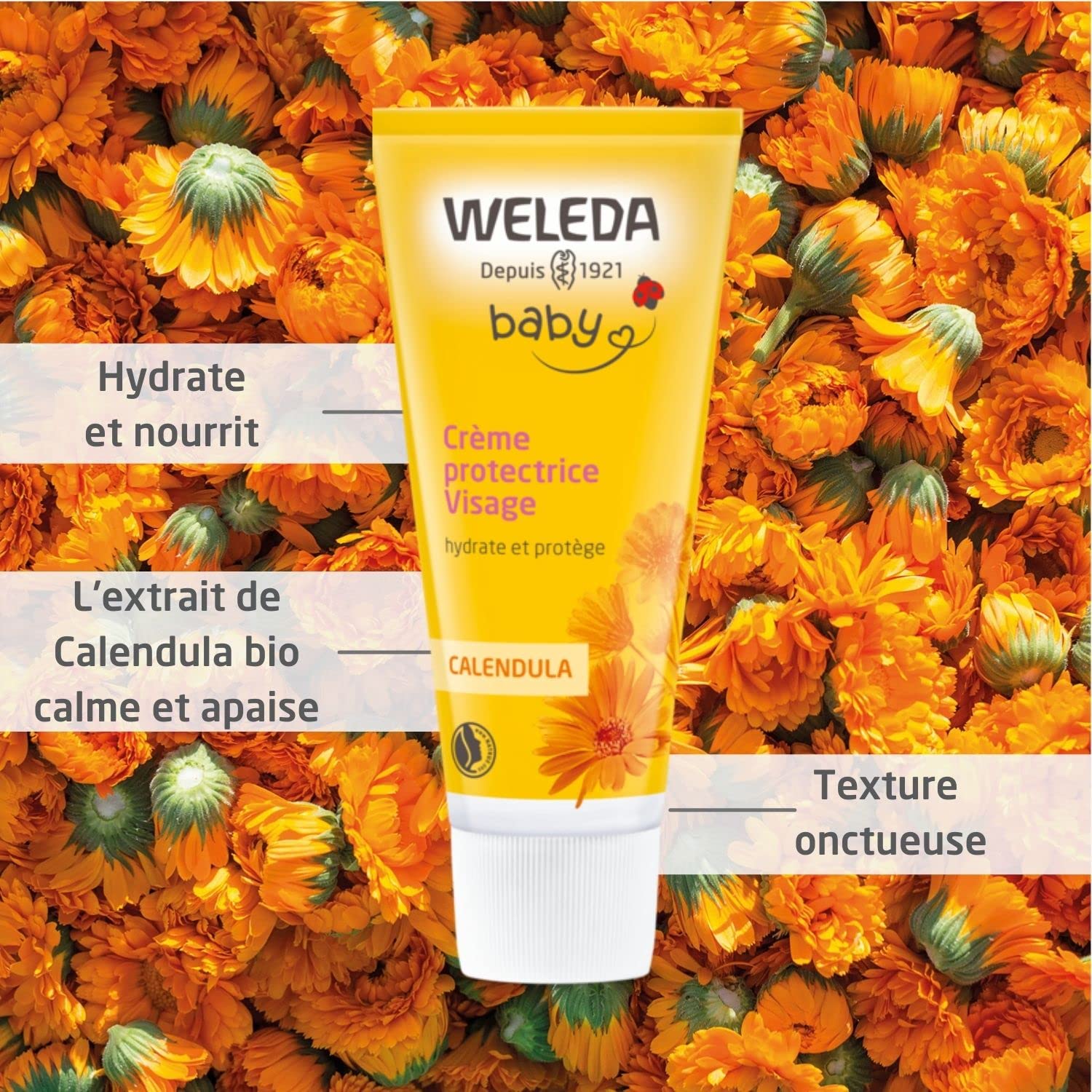 weleda-cr-me-hydratante-visage-calendula-50-ml-cr-me-protectrice-visage-b-b-et-e image 2
