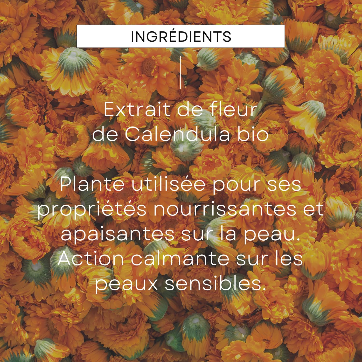 weleda-gel-lavant-doux-calendula-sans-parfum-750-ml-2-en-1-corps-et-cheveux-d-s- image 5