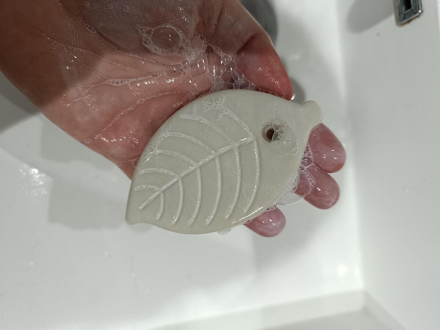 Bonne surprise écologique